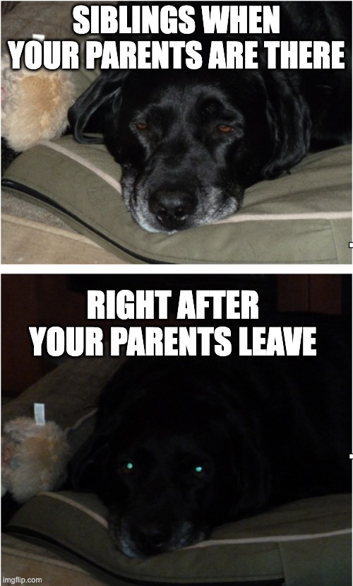 Little Siblings | Siblings when
your parents are there; Right after your parents leave | image tagged in relatable,siblings | made w/ Imgflip meme maker