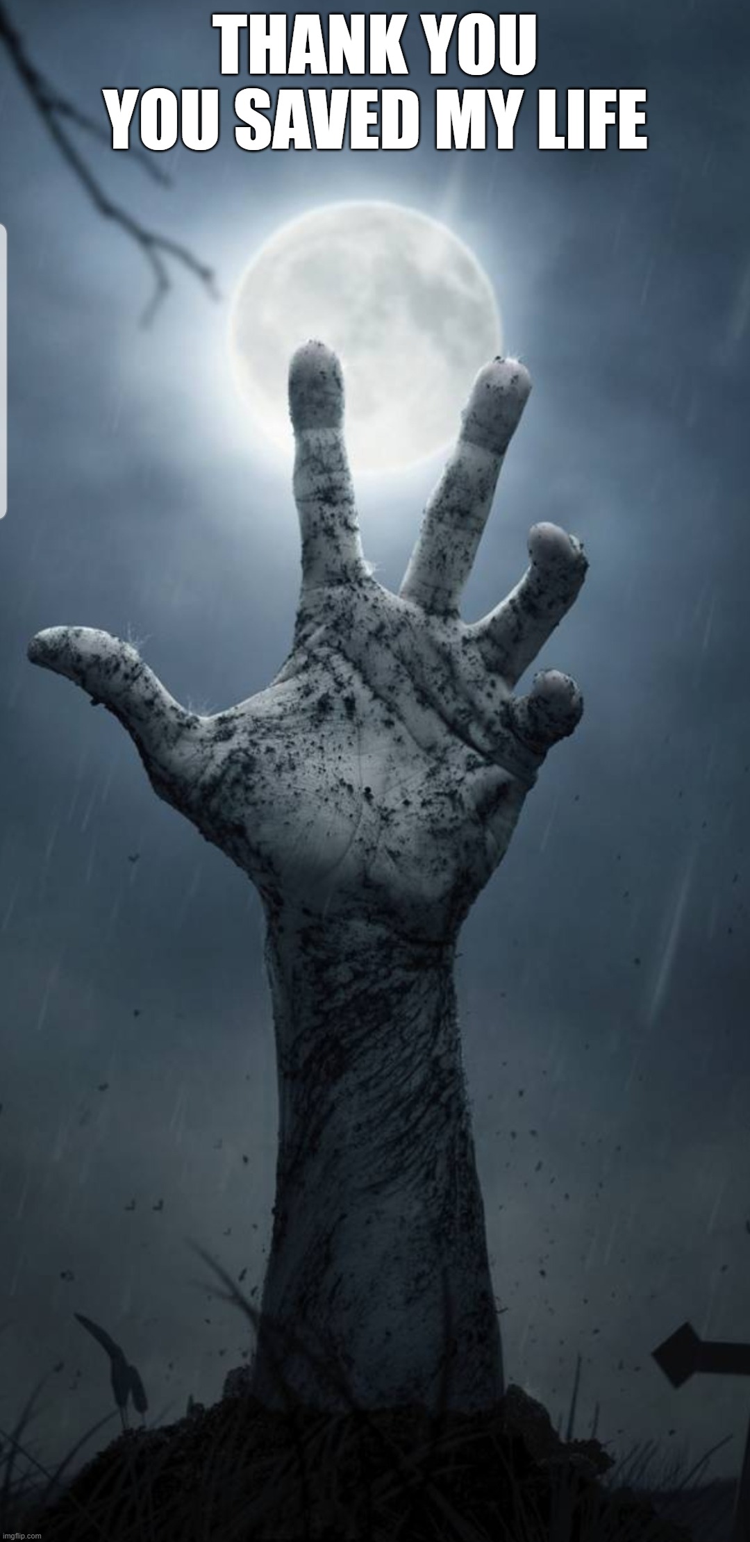 Zombie Apocalypse | thank you
you saved my life | image tagged in zombie apocalypse | made w/ Imgflip meme maker