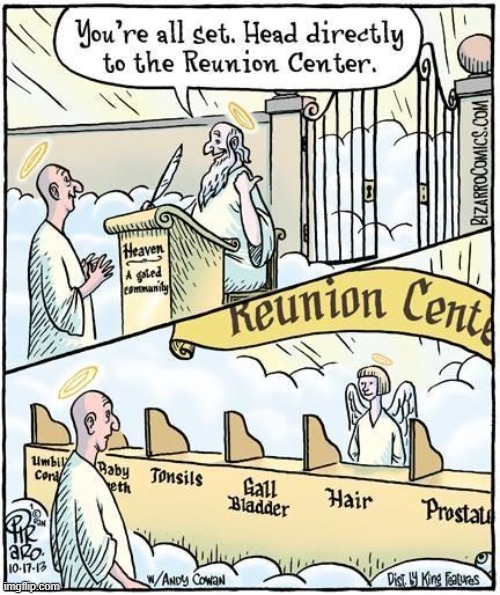 The Reunion Center in Heaven is not what you think | image tagged in vince vance,dan piraro,bizarro,heaven,reunion,body parts | made w/ Imgflip meme maker