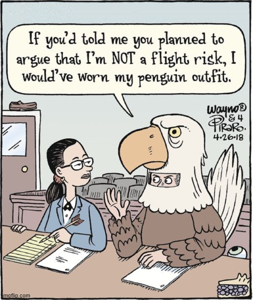 Would a guy in a Bald Eagle Costume be a Flight Risk? | image tagged in vince vance,court,attorney,bald eagle,costume,cartoons | made w/ Imgflip meme maker