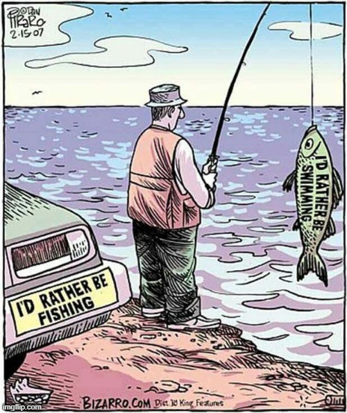 Fish with Bumper Stickers | image tagged in vince vance,cartoons,bizarro,fishing,bumper sticker,dan piraro | made w/ Imgflip meme maker