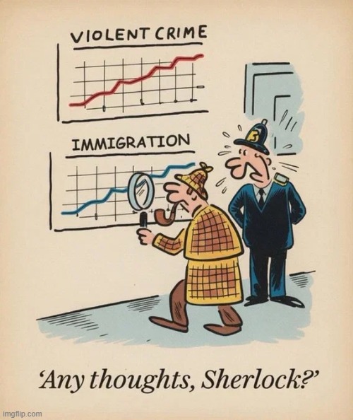 Correlation between Immigration & Crime | image tagged in vince vance,sherlock holmes,elementary,my dear,watson,cartoons | made w/ Imgflip meme maker