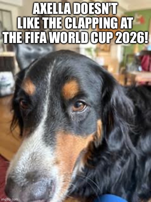 Dog Dislikes Clapping | Axella doesn’t like the clapping at the fifa World Cup 2026! | image tagged in img_6298 jpeg | made w/ Imgflip meme maker