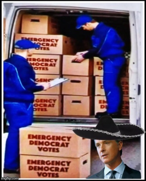 Vote Fraud Greasy Gavin | image tagged in vote fraud greasy gavin | made w/ Imgflip meme maker