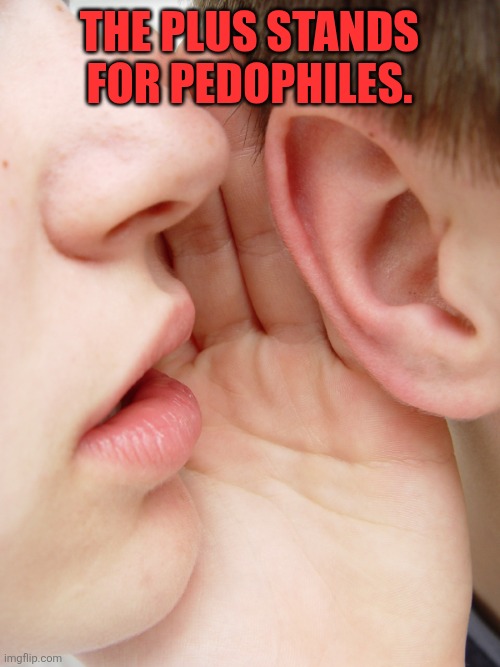 Plus | The plus stands for pedophiles. | image tagged in whisper | made w/ Imgflip meme maker