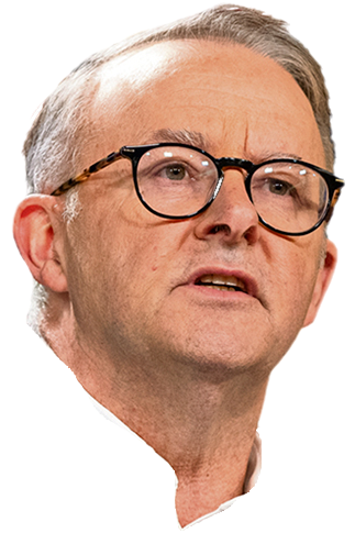 Albo head Blank Meme Template