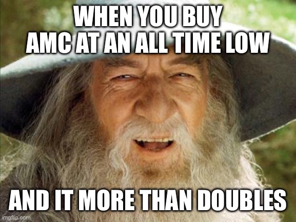 Apes are winning the game | When you buy AMC at an all time low; And it more than doubles | image tagged in a wizard is never late,amc,stock,apes together strong,hedgehog,tears | made w/ Imgflip meme maker
