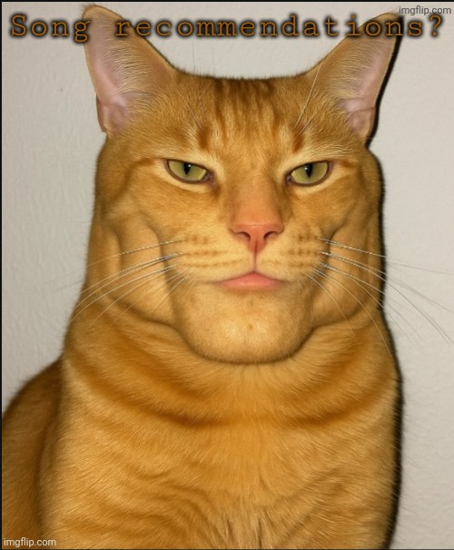 chad cat | Song recommendations? | image tagged in chad cat | made w/ Imgflip meme maker