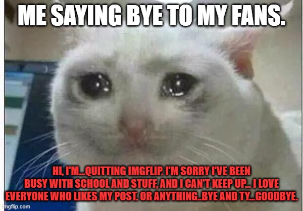 bye yall i had a good run..but it ends here goodbye every one ): | me saying bye to my fans. Hi, I'm...quitting Imgflip. I'm sorry I've been busy with school and stuff, and I can't keep up... I love everyone who likes my post. or anything..bye and ty...goodbye. | image tagged in crying cat,sad | made w/ Imgflip meme maker