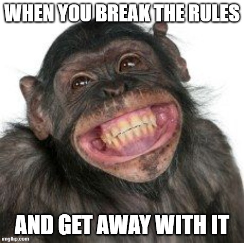 Grinning Chimp Meme | When you break the rules; and get away with it | made w/ Imgflip meme maker