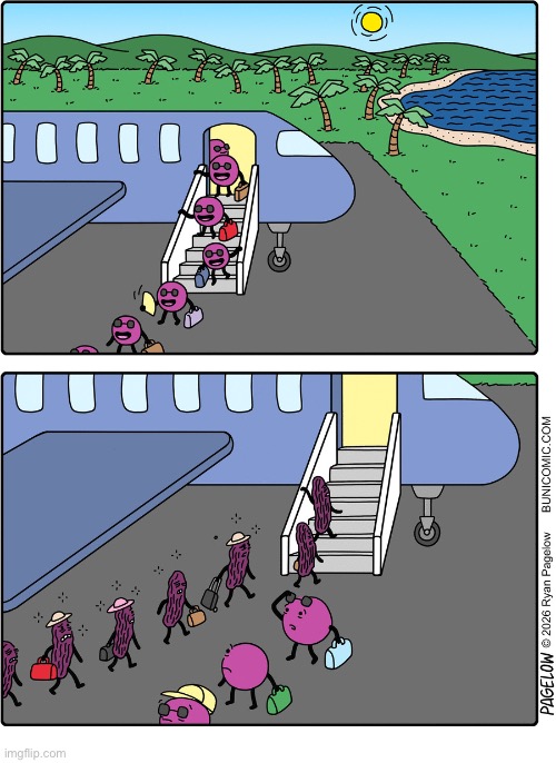 How “sun-dried” raisins are created | image tagged in comics,buni comics,grapes,vacation,raisins,too much sun | made w/ Imgflip meme maker