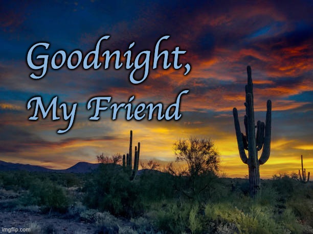Desert Goodnight | Goodnight, My Friend | image tagged in goodnight my friend,cactus sky | made w/ Imgflip meme maker