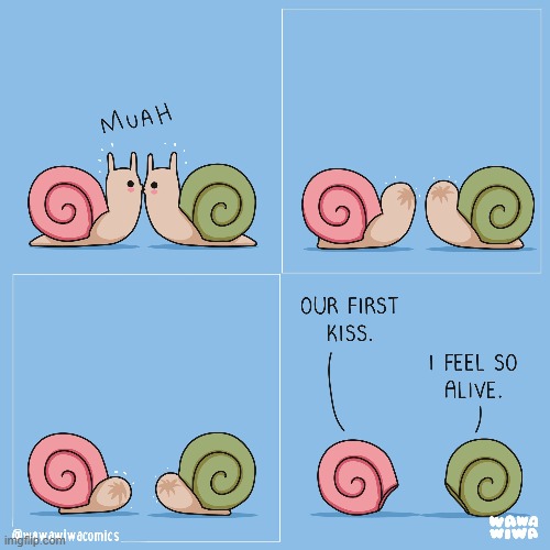 image tagged in snails,kiss,kissing,shells,hiding,first kiss | made w/ Imgflip meme maker