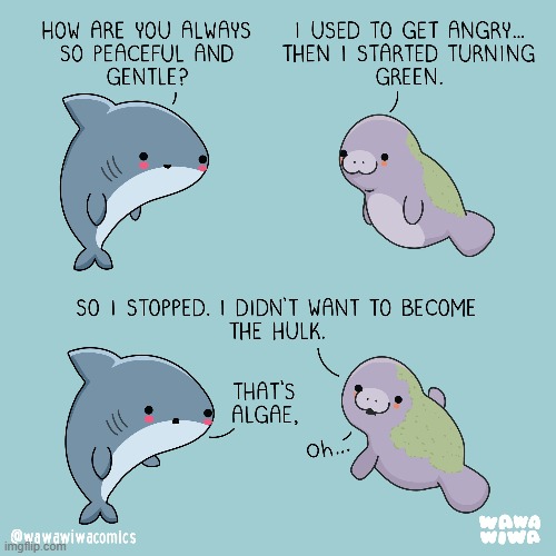 image tagged in shark,manatee,angry,green,hulk,algae | made w/ Imgflip meme maker