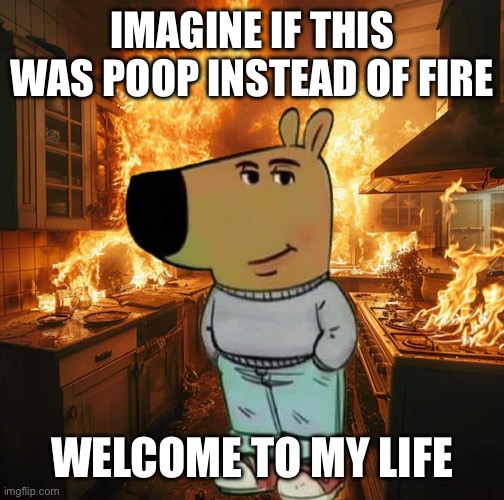 Hey guys so the joke here is I clean septic tanks for a living hope that helps | Imagine if this was poop instead of fire; Welcome to my life | image tagged in chill guy | made w/ Imgflip meme maker