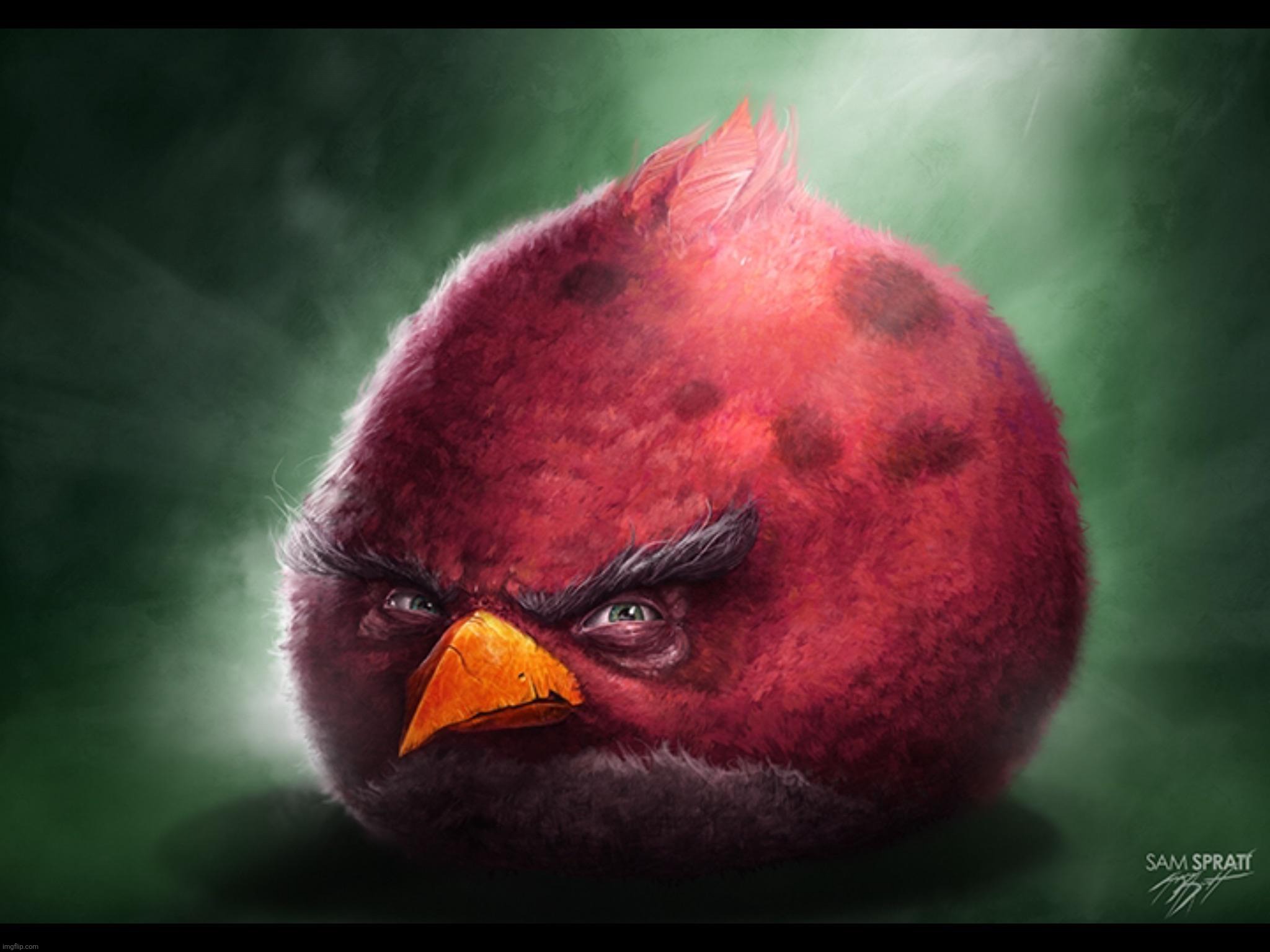 Realistic Angry Bird (big red) | image tagged in realistic angry bird big red | made w/ Imgflip meme maker