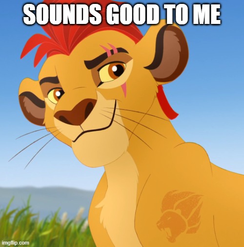 Kion | sounds good to me | image tagged in kion | made w/ Imgflip meme maker