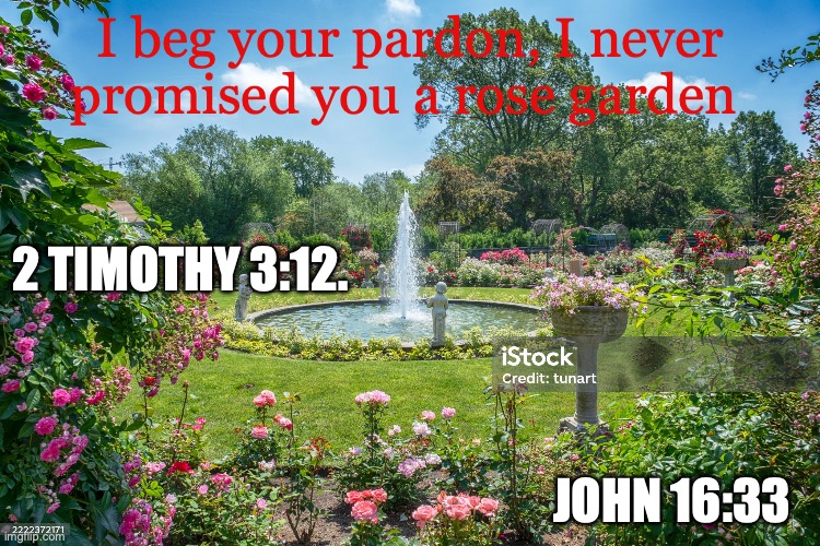 Take Courage | I beg your pardon, I never promised you a rose garden; 2 Timothy 3:12. John 16:33 | image tagged in istockphoto-2222372171-2048x2048 jpg,glory glory | made w/ Imgflip meme maker