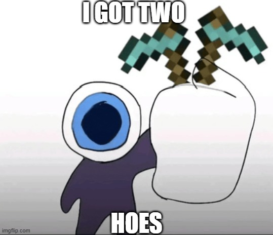 egg with hoes | i got two; hoes | image tagged in i got two hoes,minecraft,hoes | made w/ Imgflip meme maker