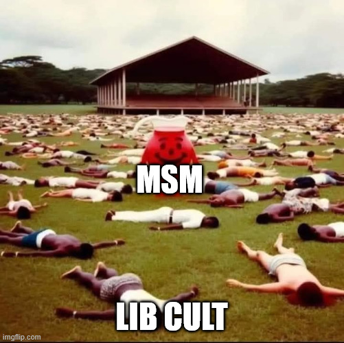Donald Trump fans drinking the Kool-aid | MSM Lib cult | image tagged in donald trump fans drinking the kool-aid | made w/ Imgflip meme maker