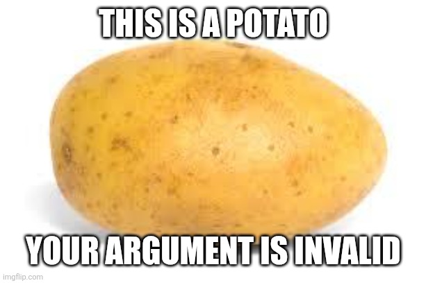 Potato | This is a potato Your argument is invalid | image tagged in potato | made w/ Imgflip meme maker