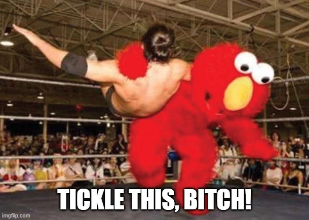 Elmo isn't messing around | Tickle this, Bitch! | image tagged in elmo wrestler jpg | made w/ Imgflip meme maker