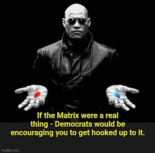morpheus matrix blue pill red pill | If the Matrix were a real thing - Democrats would be encouraging you to get hooked up to it. | image tagged in morpheus matrix blue pill red pill | made w/ Imgflip meme maker