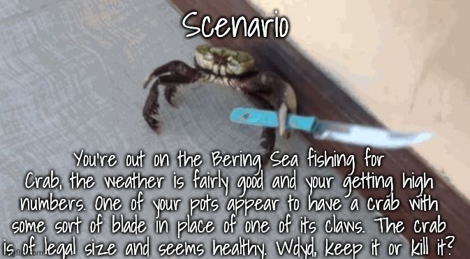 Came up with this while watching Deadliest Catch (Crab Fishing Show) | Scenario; You're out on the Bering Sea fishing for Crab, the weather is fairly good and your getting high numbers. One of your pots appear to have a crab with some sort of blade in place of one of its claws. The crab is of legal size and seems healthy. Wdyd, keep it or kill it? | image tagged in knife wielding crab | made w/ Imgflip meme maker