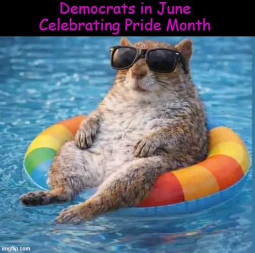 Closet? They now live in walk-ins... | Democrats in June
Celebrating Pride Month | image tagged in gay pride,june,no more,closet,too much,agenda | made w/ Imgflip meme maker
