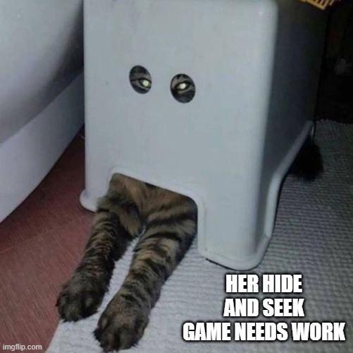 My cat is not the best hide-and-seek player. | her hide and seek game needs work | image tagged in cat,kitten,humor,funny,hide and seek | made w/ Imgflip meme maker
