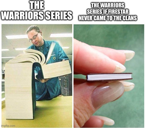 It would be just dawn of the clans and that’s it | The warriors series; The warriors series if firestar never came to the clans | image tagged in big book small book | made w/ Imgflip meme maker