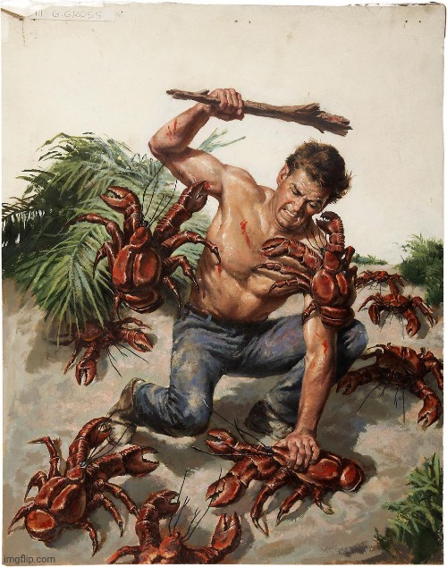 Deadliest Catch 2: The Bering Sea Revolution | image tagged in man crab fight | made w/ Imgflip meme maker