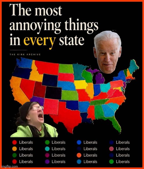 The most annoying things in every state | image tagged in img 18 jpeg,stupid liberals,joe biden | made w/ Imgflip meme maker