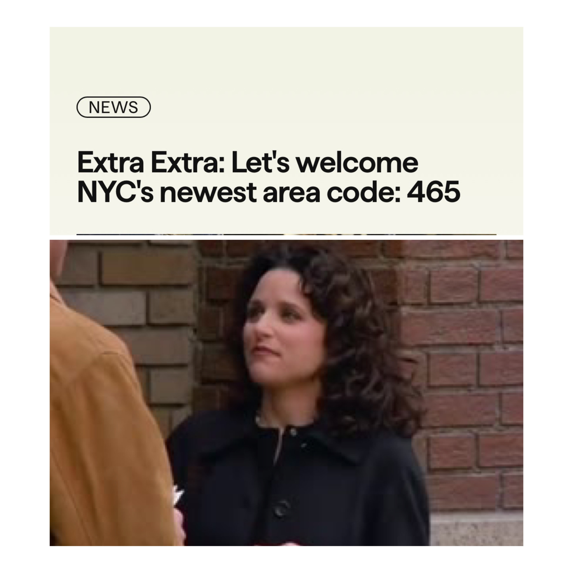 Elaine 646 Seinfeld Blank Meme Template