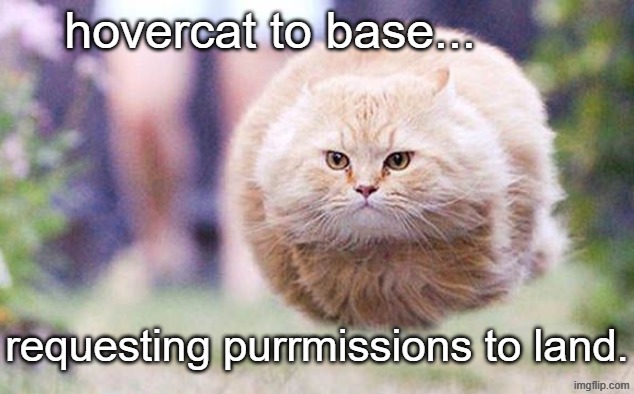 Floating cat | hovercat to base... requesting purrmissions to land. | image tagged in floating cat,cats,hovercat | made w/ Imgflip meme maker