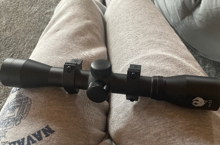 Forgot how to mount my optics so this thing has been sitting on a shelf for a year and a half. | made w/ Imgflip meme maker