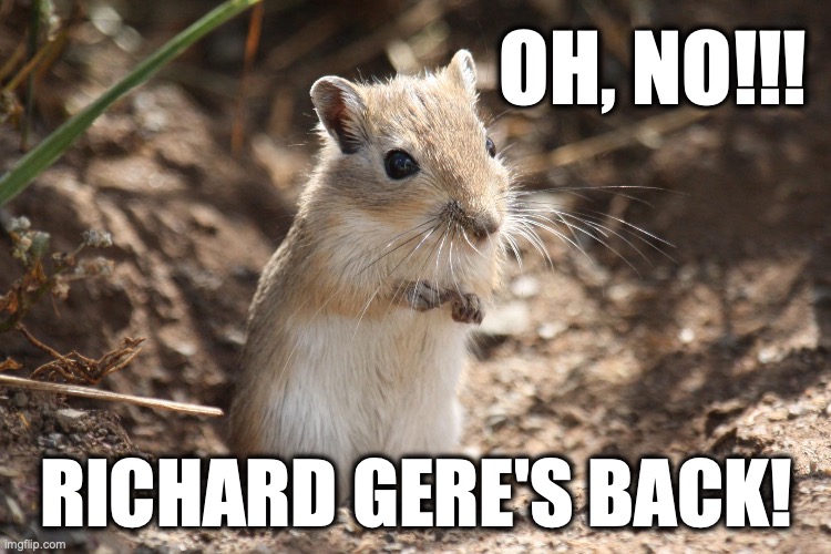 Gerbils Beware | Oh, no!!! Richard Gere's back! | image tagged in image 104 jpeg | made w/ Imgflip meme maker