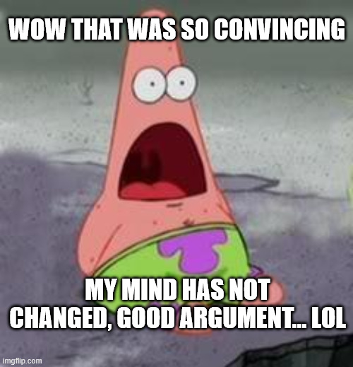 WOW THAT WAS SO CONVINCING MY MIND HAS NOT CHANGED, GOOD ARGUMENT... LOL | image tagged in suprised patrick | made w/ Imgflip meme maker