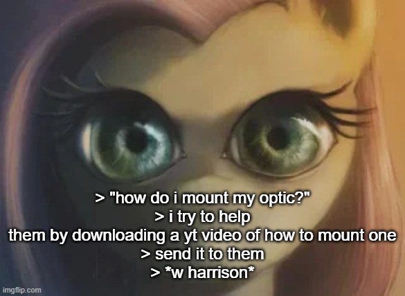 fluttershy smile | > "how do i mount my optic?"
> i try to help them by downloading a yt video of how to mount one
> send it to them
> *w harrison* | image tagged in fluttershy smile | made w/ Imgflip meme maker
