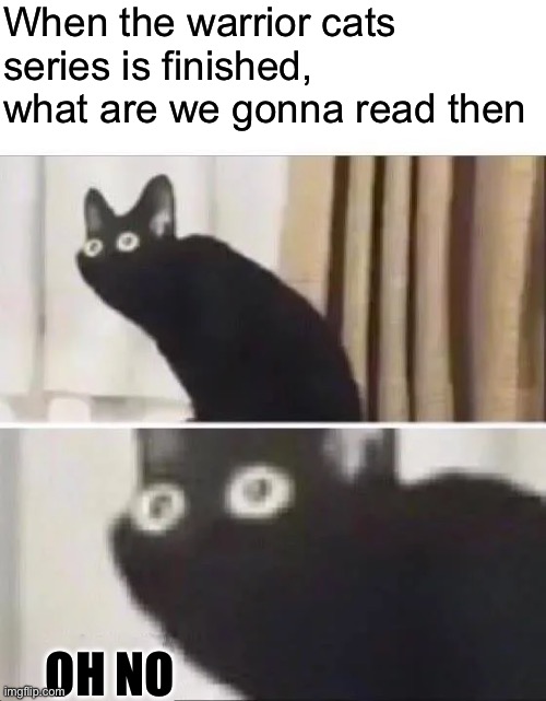 This thought just came to mind | When the warrior cats series is finished, what are we gonna read then; oh no | image tagged in oh no black cat | made w/ Imgflip meme maker
