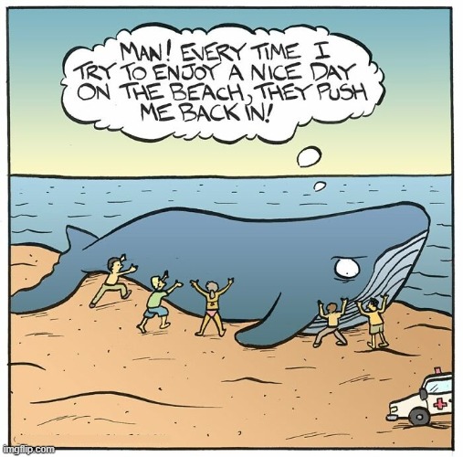Beached Whale | image tagged in comics | made w/ Imgflip meme maker