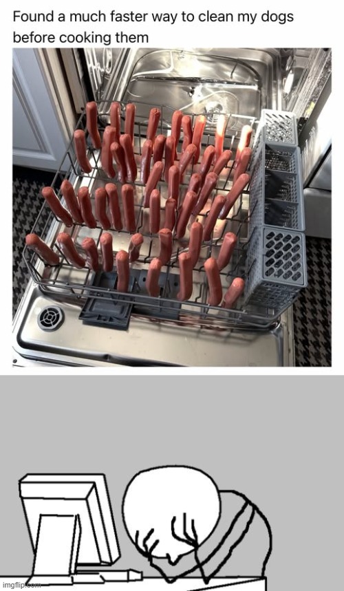 Clean Dogs | image tagged in memes,computer guy facepalm | made w/ Imgflip meme maker
