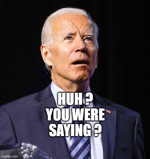 Joe Biden | Huh ?
you were saying ? | image tagged in joe biden | made w/ Imgflip meme maker