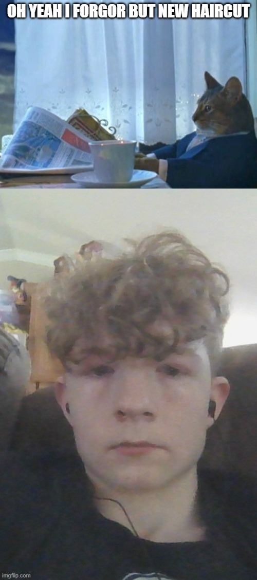 oh yeah i forgor but new haircut | image tagged in memes,i should buy a boat cat | made w/ Imgflip meme maker