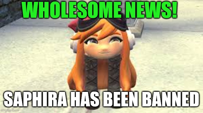 YYEEEAAAAAAAAH | Wholesome news! Saphira has been banned | image tagged in goomba meggy happy | made w/ Imgflip meme maker