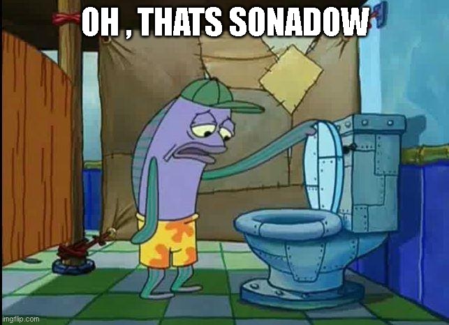 sonadow makes no sense | oh , thats sonadow | image tagged in spongebob oh that's real nice | made w/ Imgflip meme maker