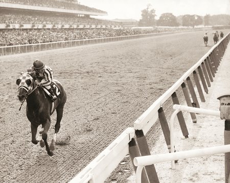 Secretariat Blank Meme Template