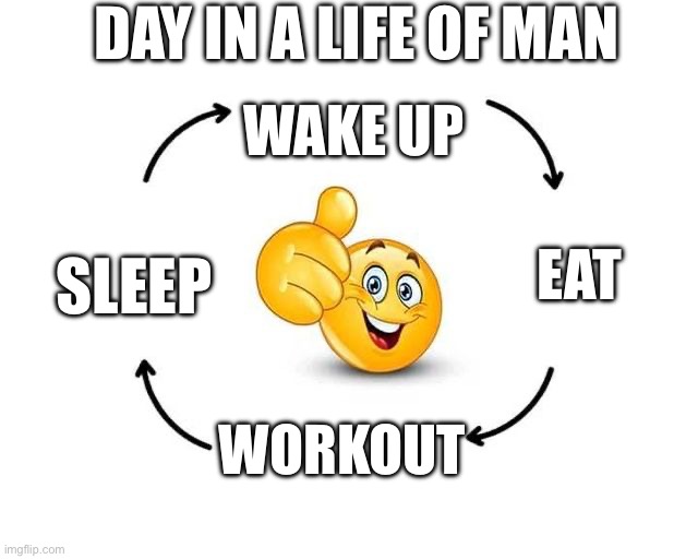 Men | Day in a life of man; Wake up; Sleep; Eat; Workout | image tagged in ciclo meme | made w/ Imgflip meme maker