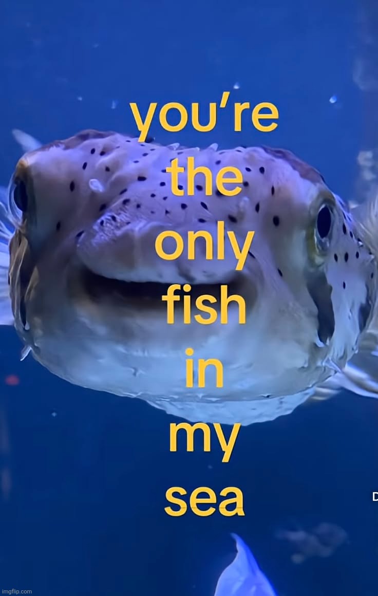 y'all should lek check out my last post's comments | made w/ Imgflip meme maker