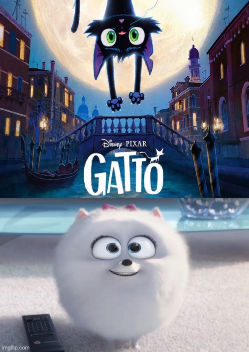 Gidget (The Secret Life of Pets) Excited For Gatto | image tagged in who's excited for gatto,the secret life of pets,illumination,pixar,deviantart,memes | made w/ Imgflip meme maker